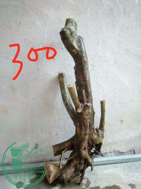 862515