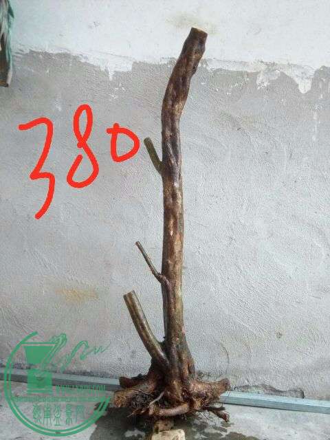 862517