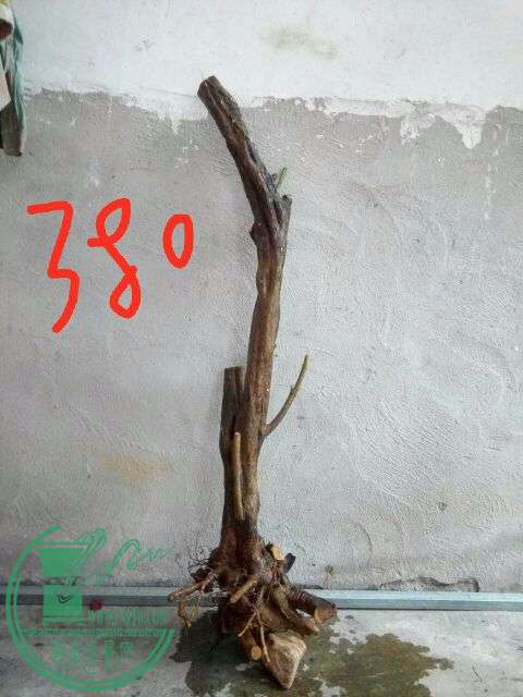 862520