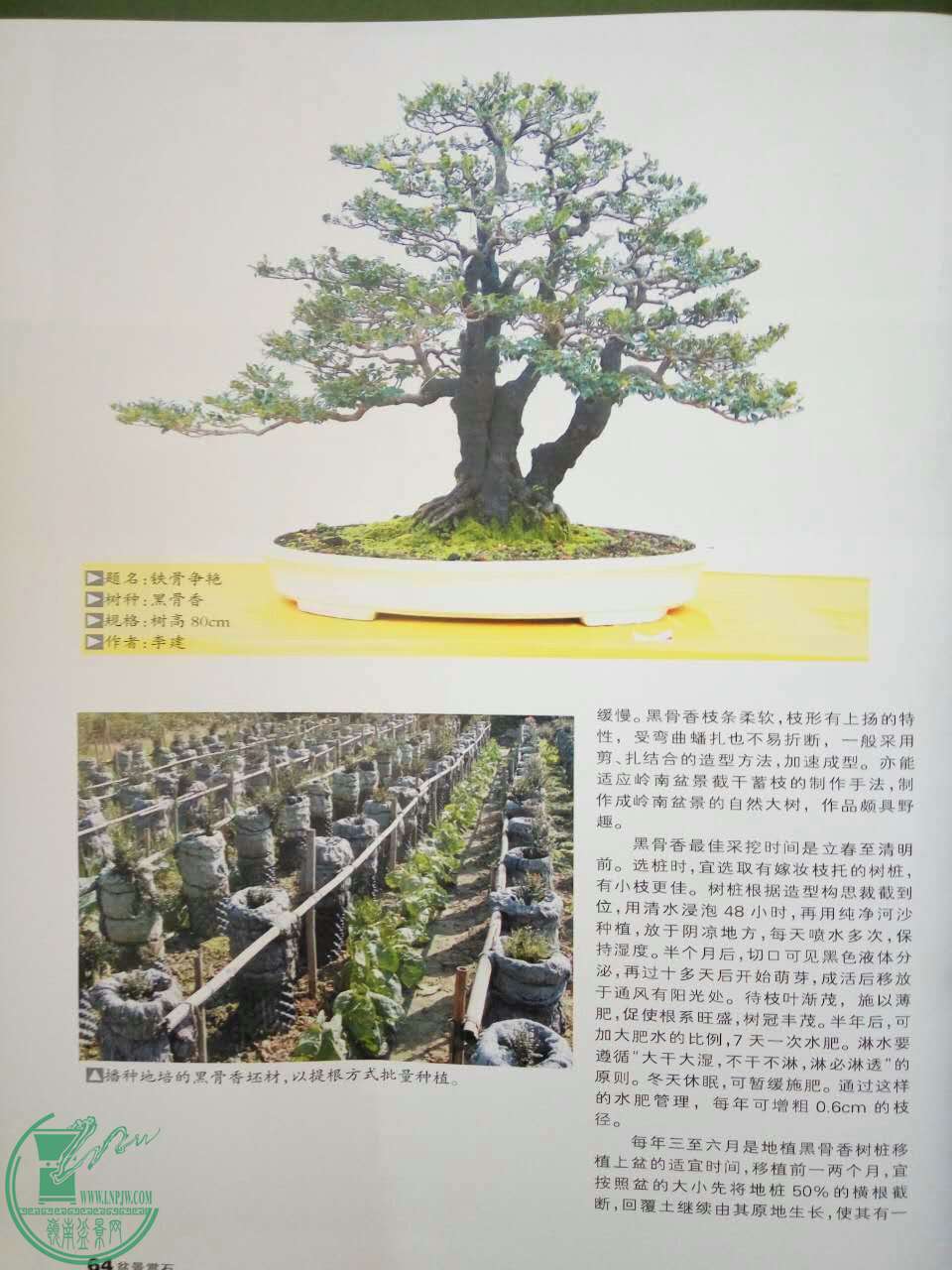 1063000430.jpg