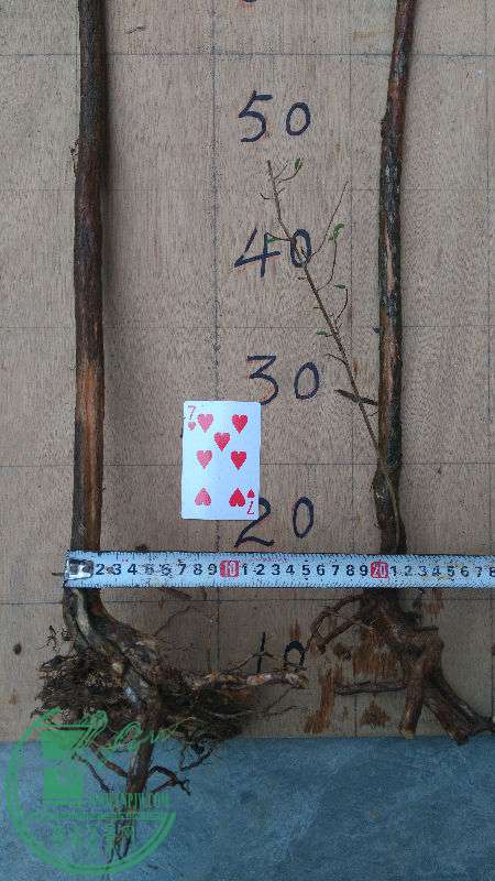 862657