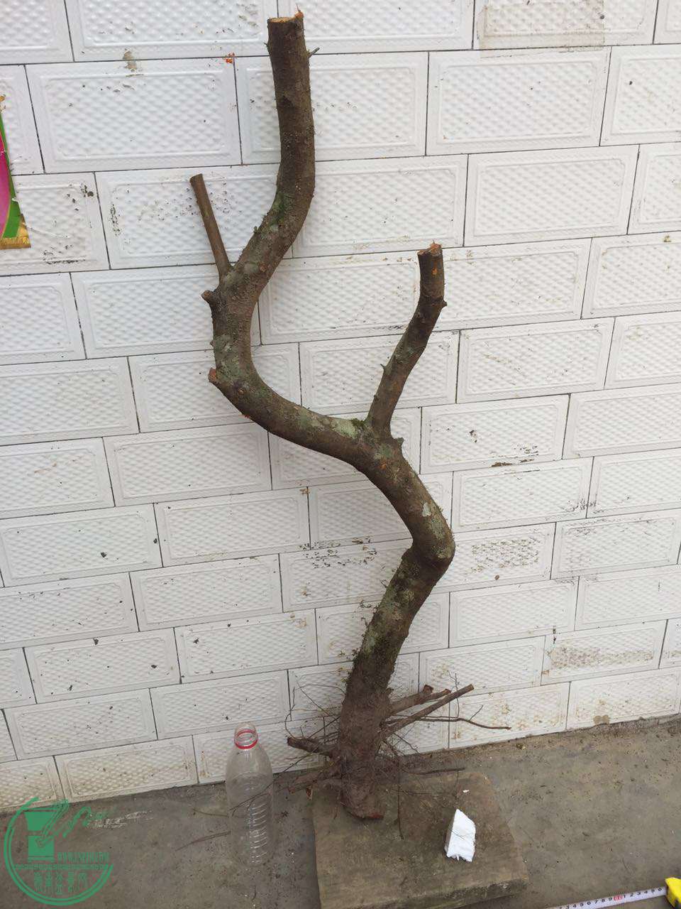 40.jpg
