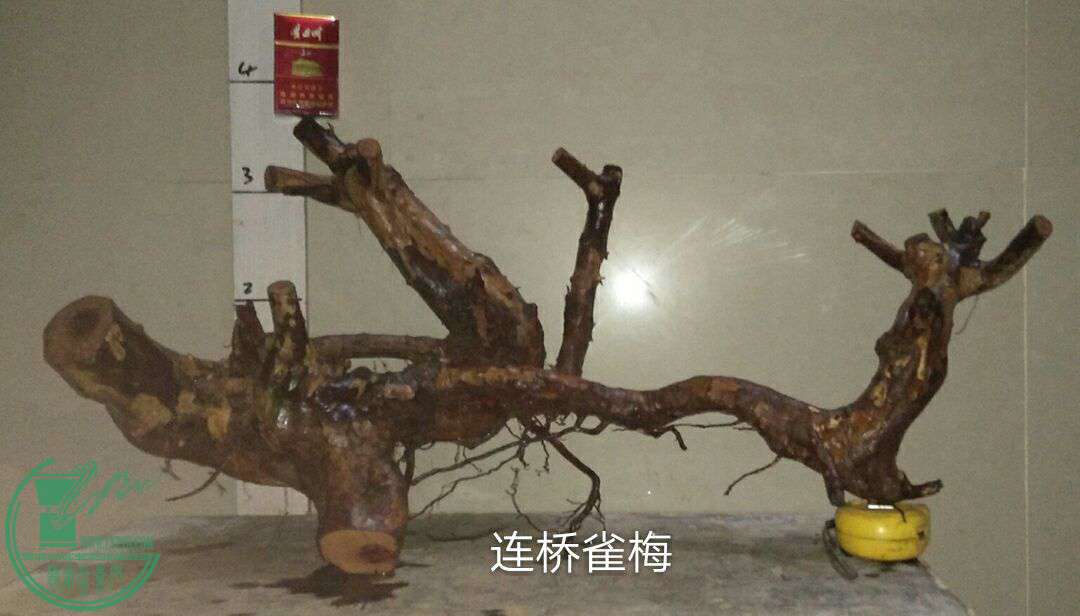 QQͼƬ20170226221805.jpg