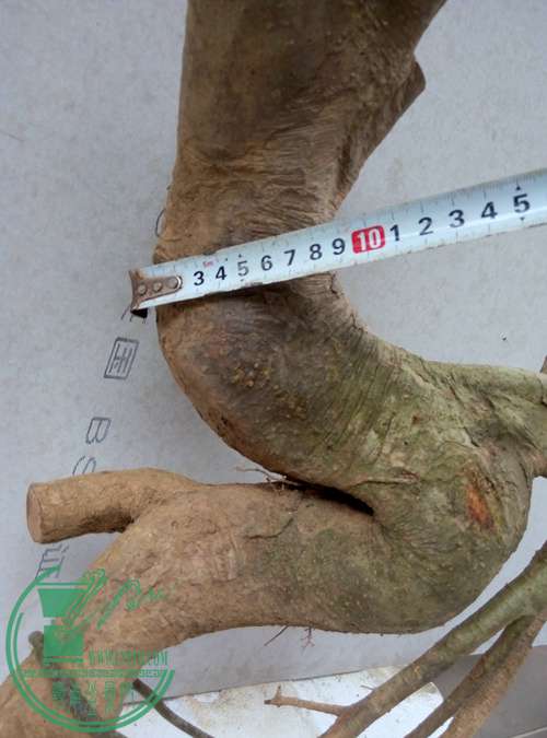 P70227-164234_.jpg