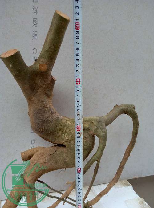 P70227-164250_.jpg