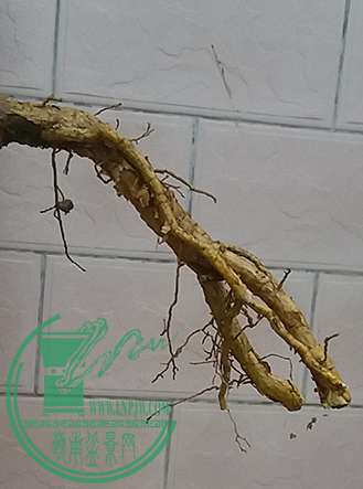 20170227_180924_mh1488193956476.jpg