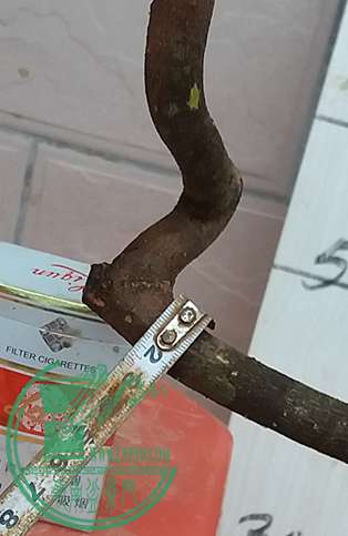 20170227_180623_mh1488193769089.jpg