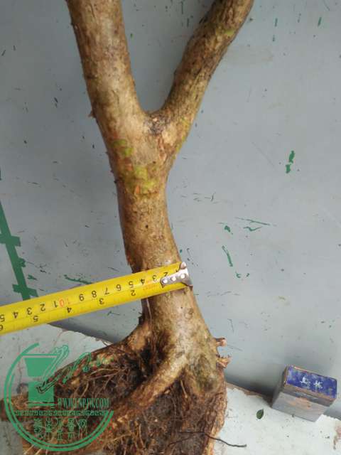 IMG20170227101614.jpg