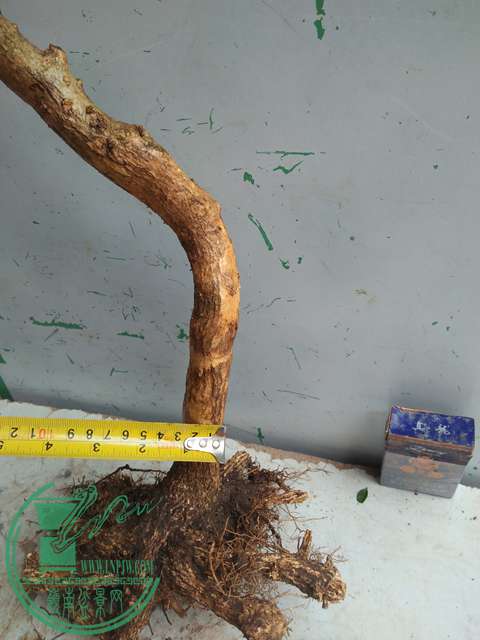 IMG20170227101643.jpg