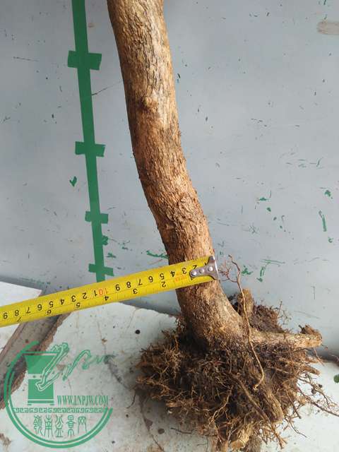 IMG20170227101724.jpg