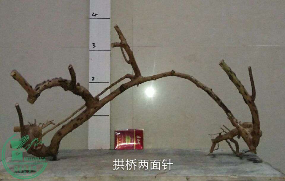 QQͼƬ20170227213222.jpg