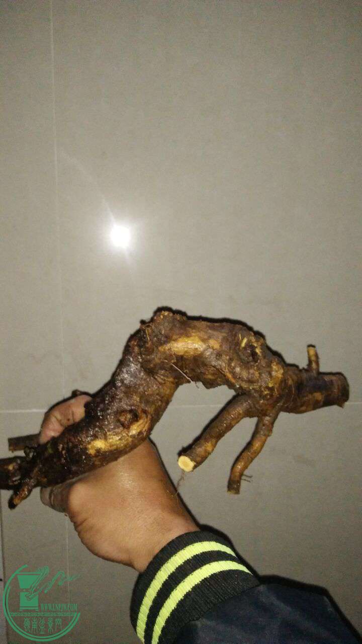 QQͼƬ20170227213242.jpg