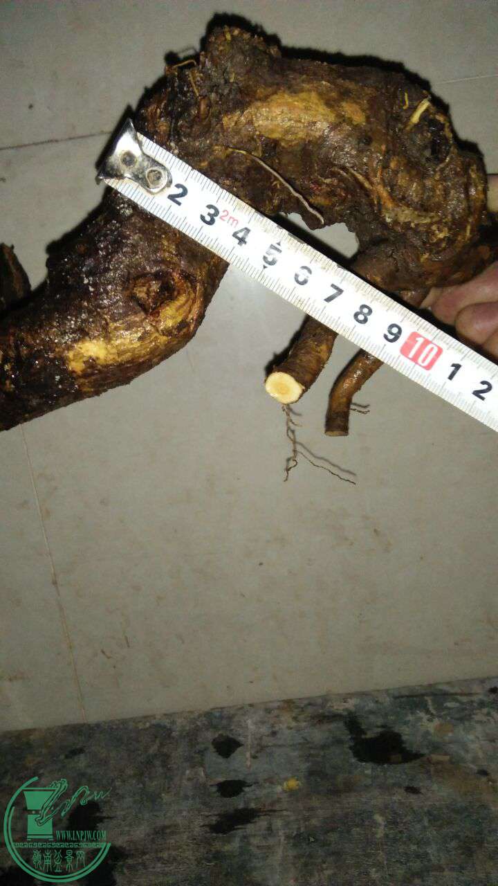 QQͼƬ20170227213253.jpg