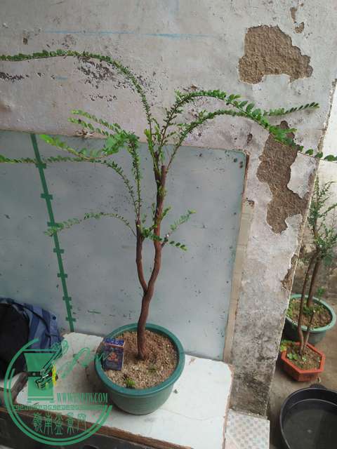 IMG20170225141128.jpg