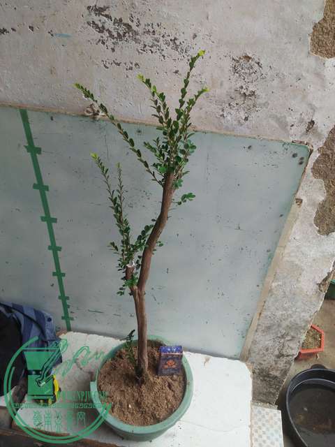 IMG20170225141320.jpg