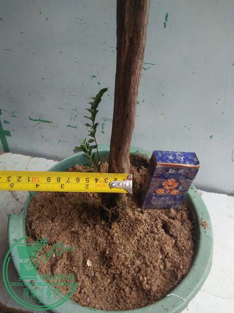 IMG20170225141331.jpg