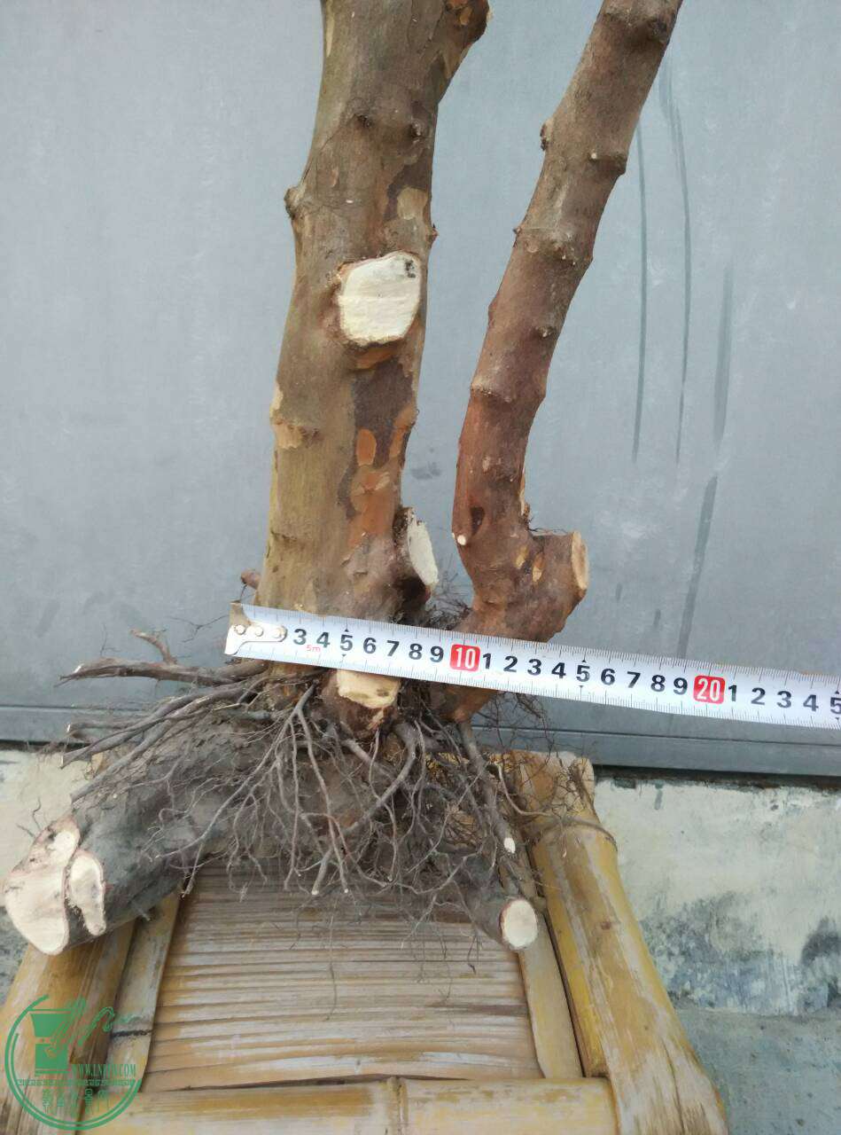 QQͼƬ20170227221453.jpg