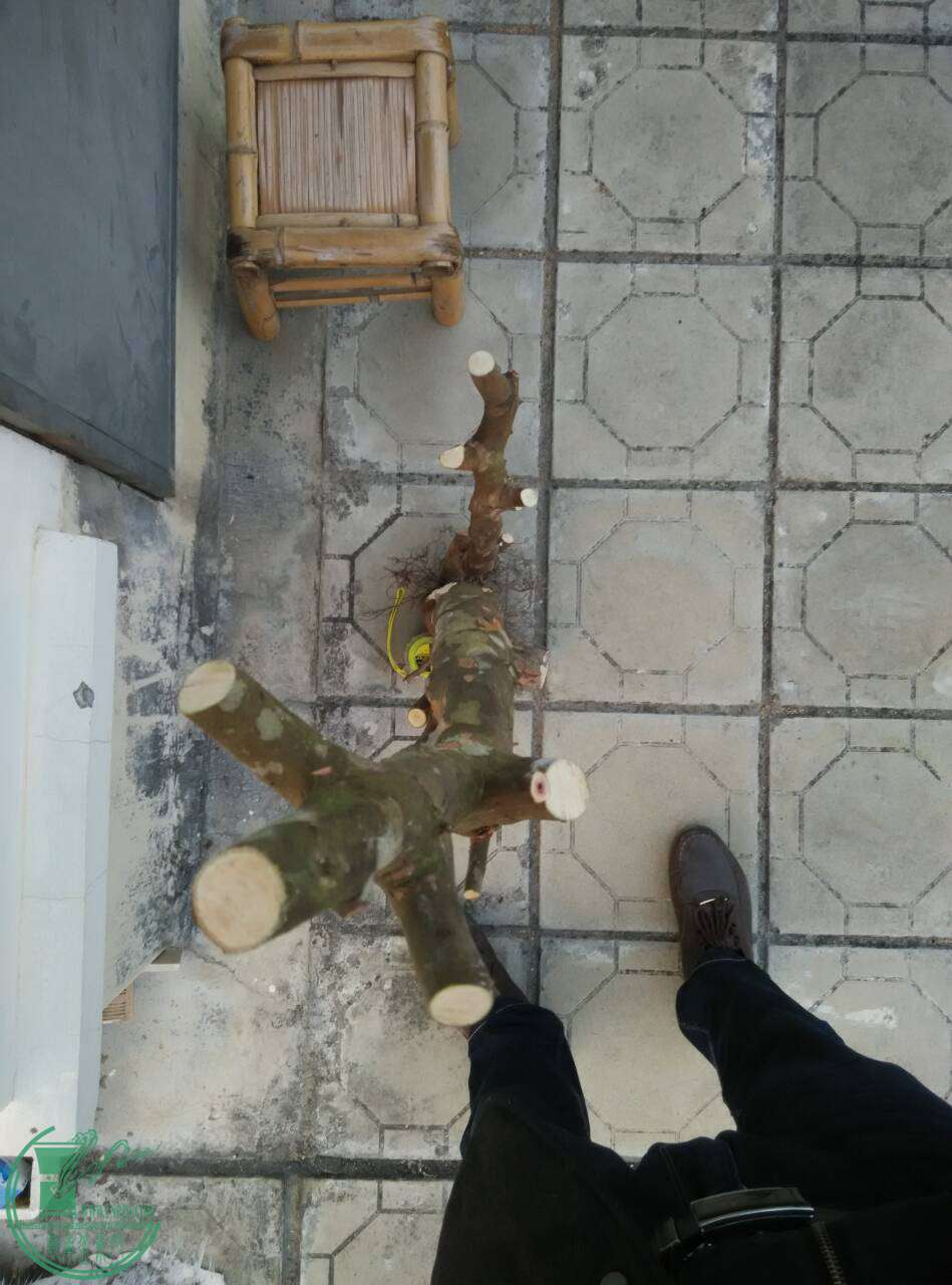 QQͼƬ20170227221507.jpg