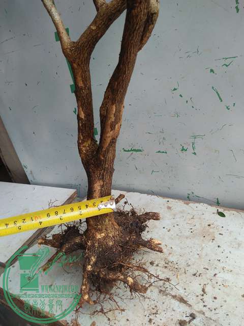 IMG20170227102809.jpg