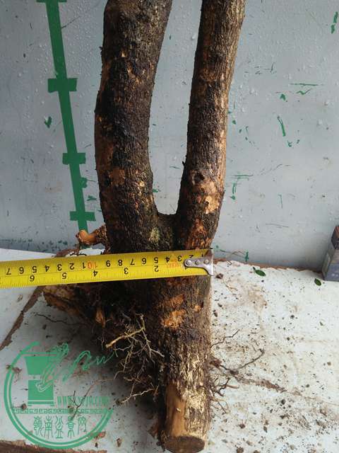 IMG20170227103253.jpg