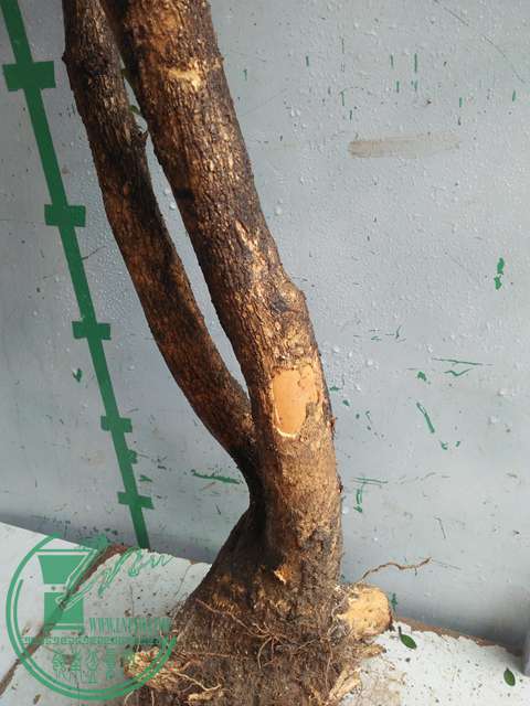 IMG20170227103316.jpg