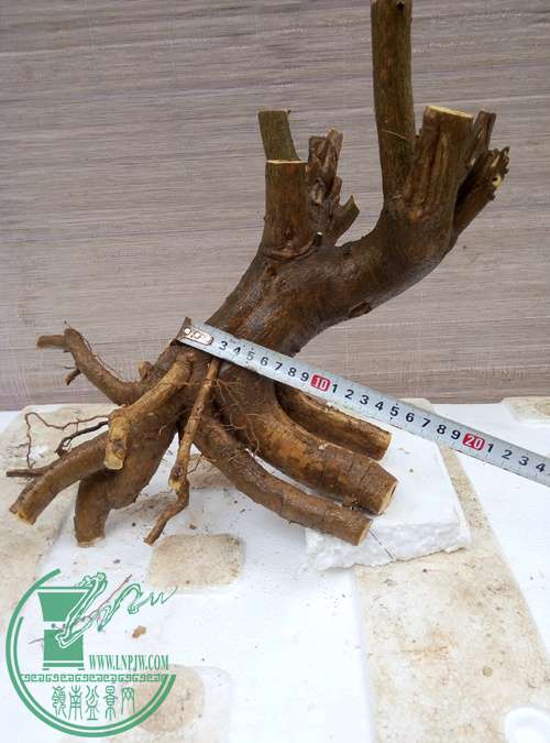 P70228-164934_.jpg