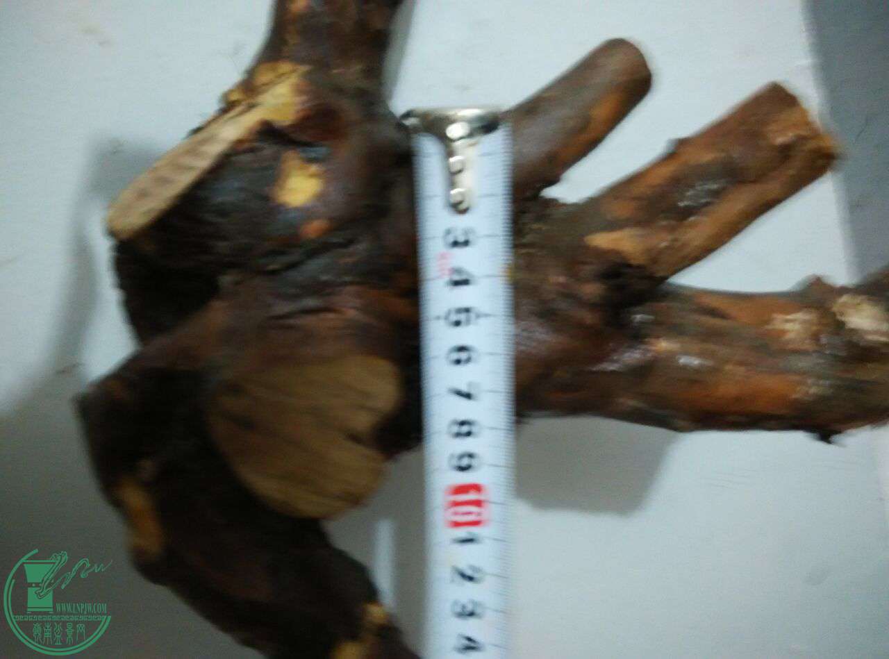 QQͼƬ20170228200939.jpg