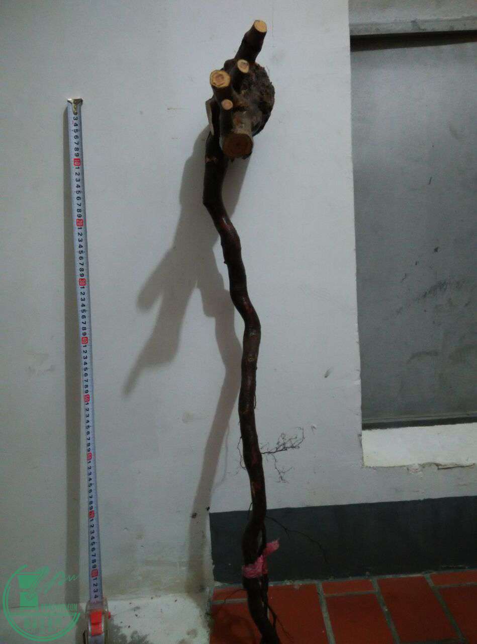 QQͼƬ20170228200950.jpg
