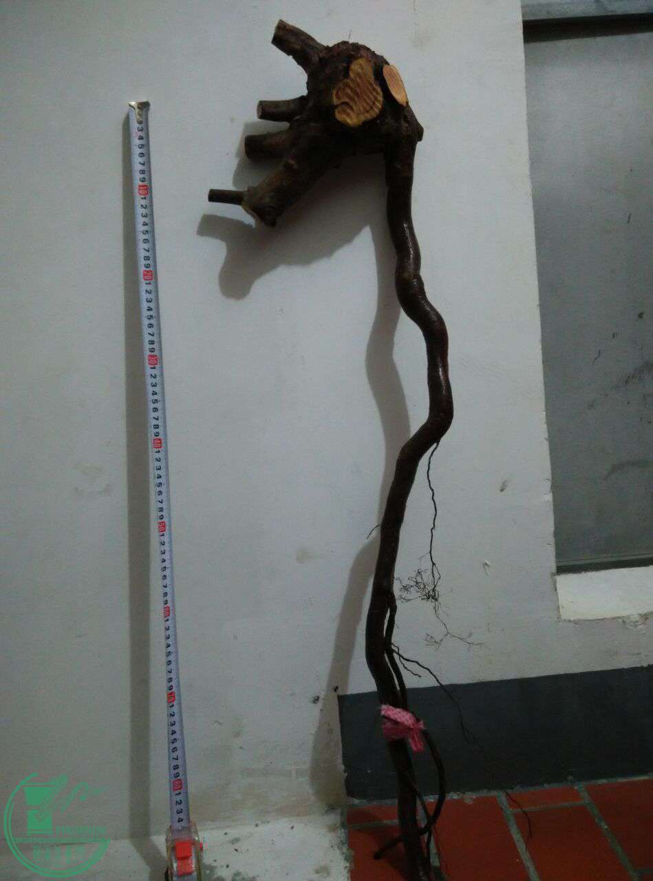QQͼƬ20170228200953.jpg