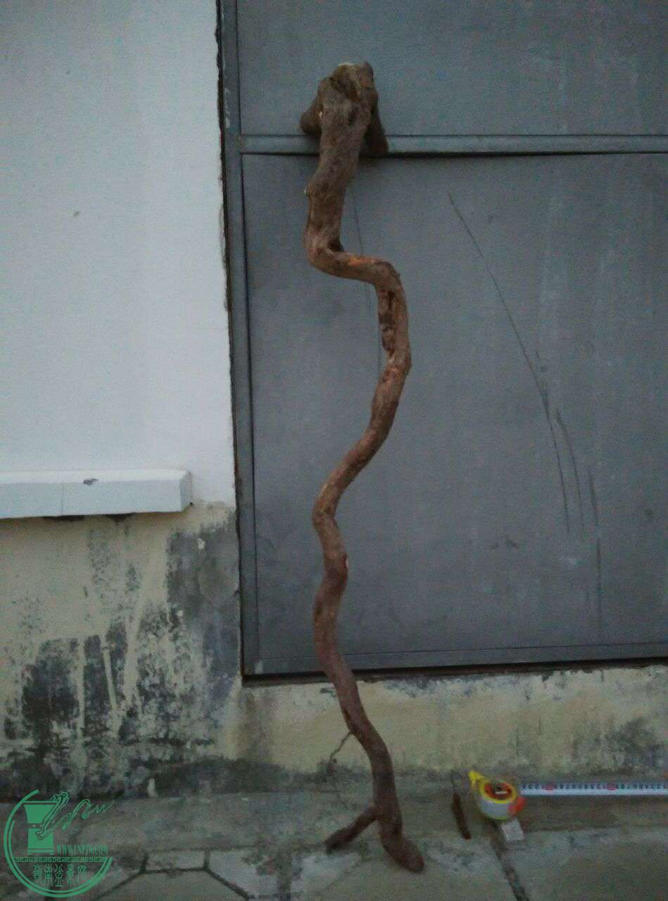 QQͼƬ20170228201013.jpg