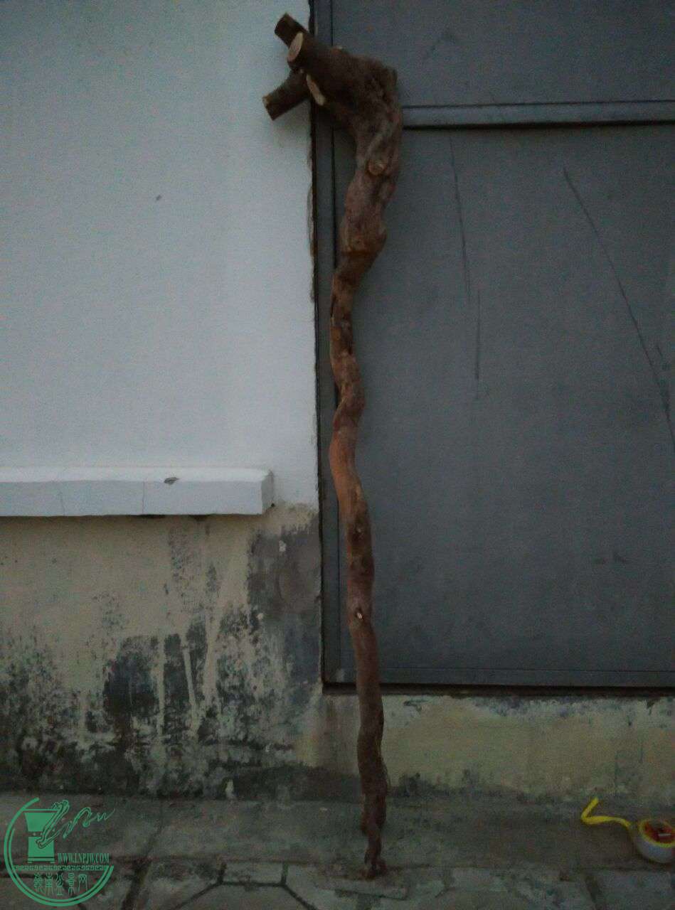 QQͼƬ20170228201010.jpg