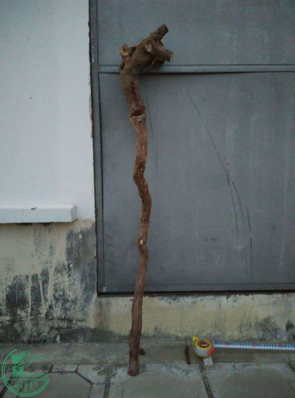 QQͼƬ20170228201016.jpg