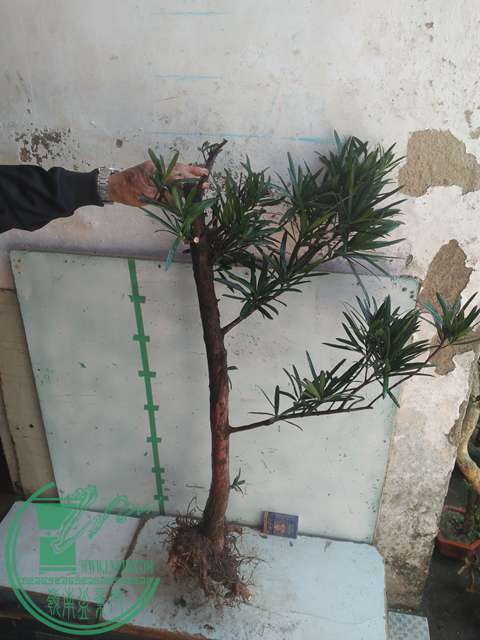 IMG20170228134226.jpg