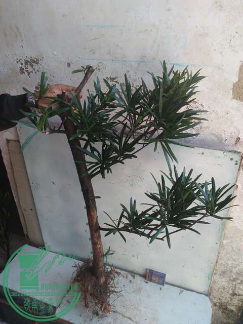 IMG20170228134255.jpg