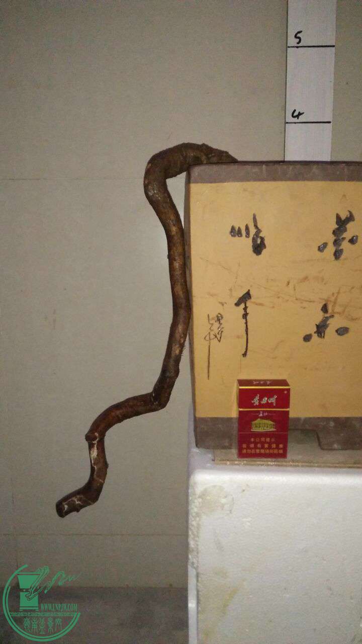 QQͼƬ20170228202537.jpg