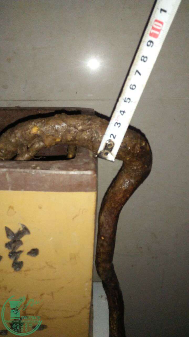 QQͼƬ20170228202531.jpg