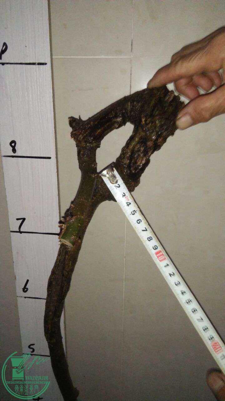 QQͼƬ20170228202620.jpg