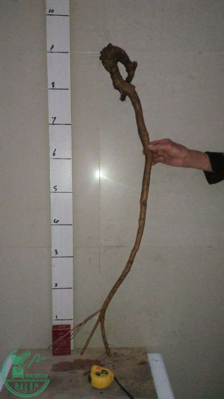 QQͼƬ20170228202609.jpg
