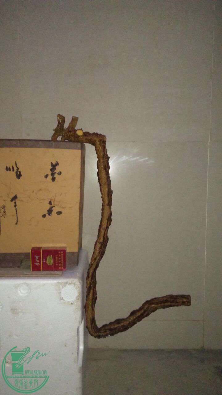 QQͼƬ20170228202509.jpg