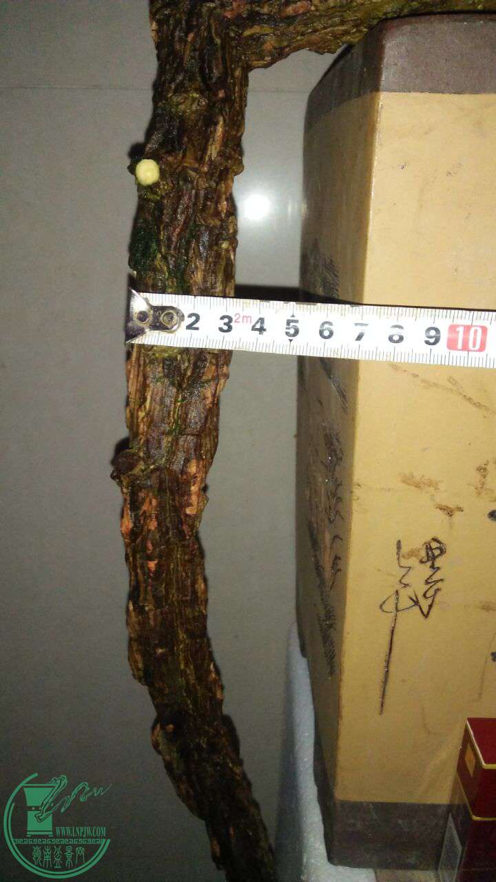 QQͼƬ20170228202516.jpg