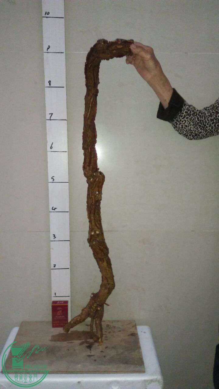 QQͼƬ20170228202604.jpg