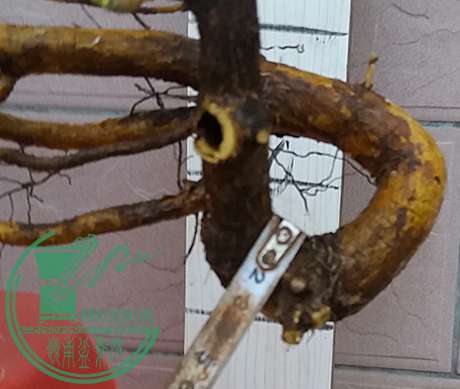 20170301_174617_mh1488366809113.jpg