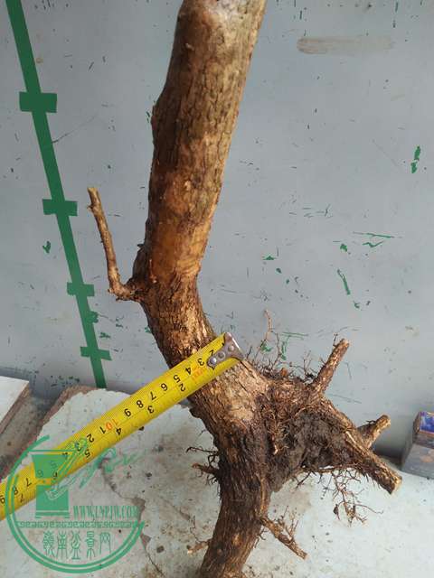 IMG20170227101807.jpg
