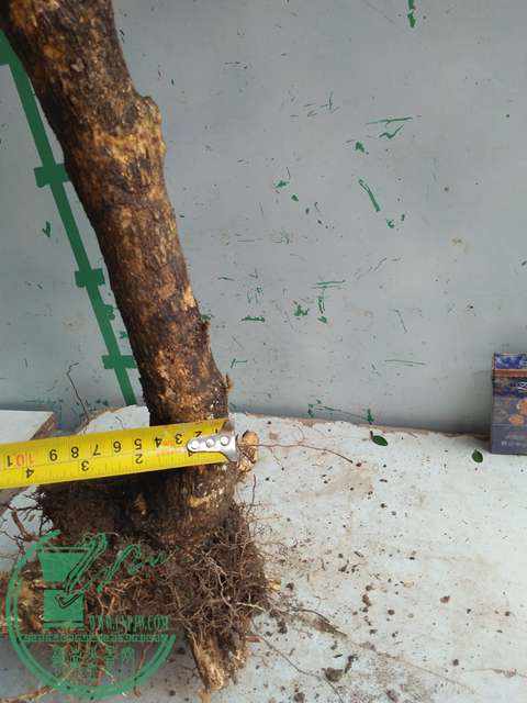 IMG20170227102546.jpg
