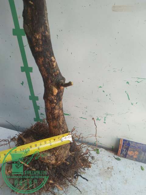 IMG20170228134352.jpg