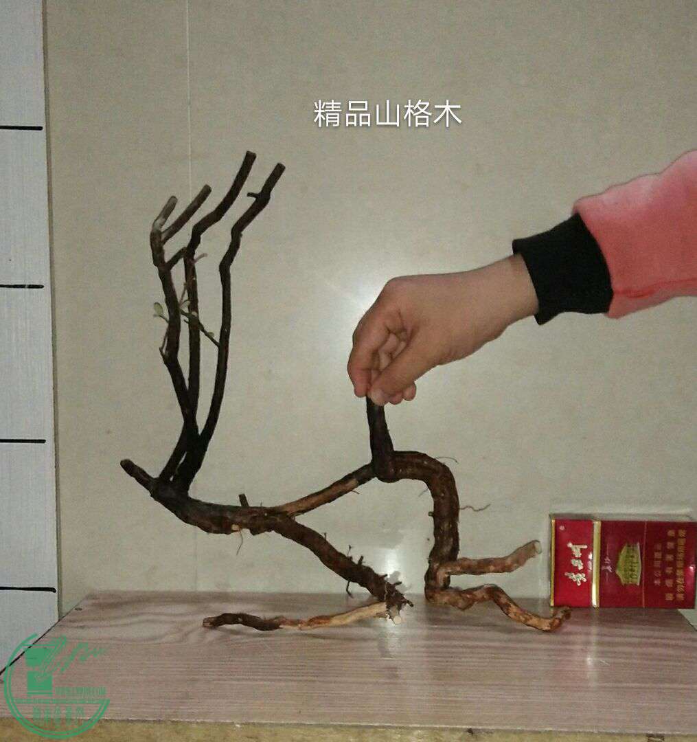 QQͼƬ20170301204619.jpg