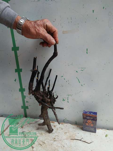 IMG20170301110754.jpg