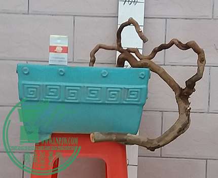 20170302_183907_mh1488453832586.jpg