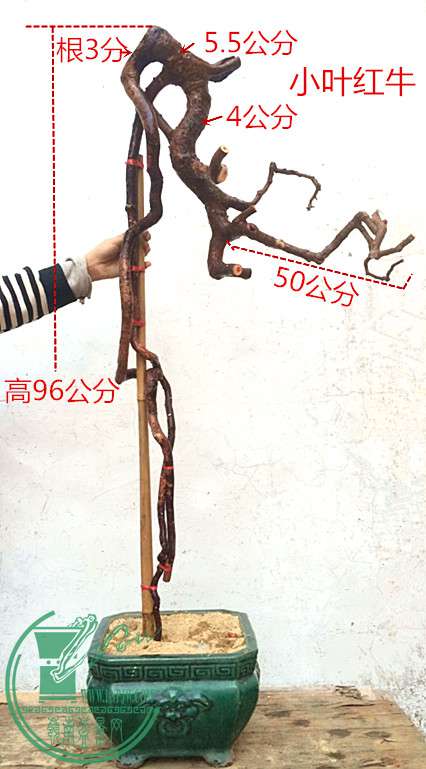 3_.jpg