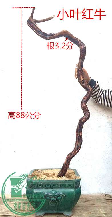 1_.jpg